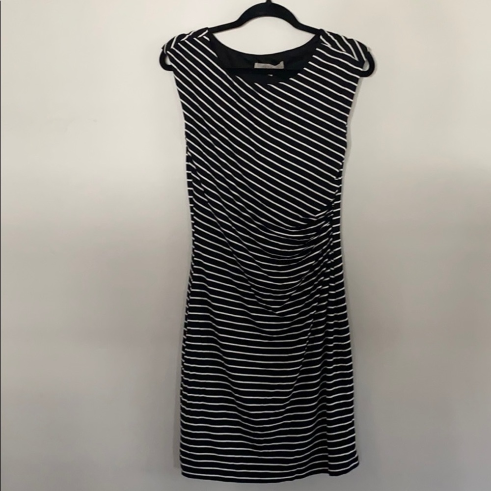 Ann Taylor Loft fitted dress